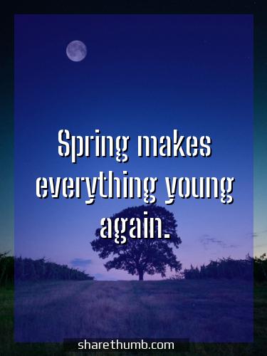 spring message board sayings